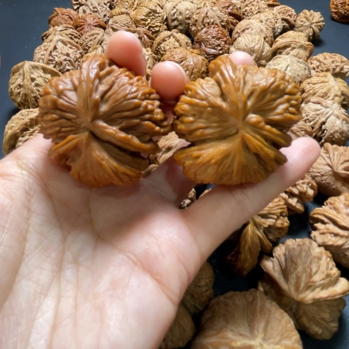 白狮子推土机42尺寸核桃哈哈哈哈哈哈