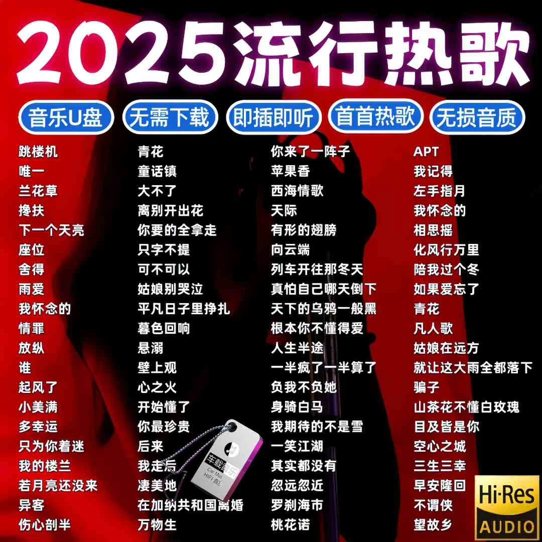 流行歌曲u盘2025年最新款抖音火爆热歌车载音乐u盘高音质无损mp3