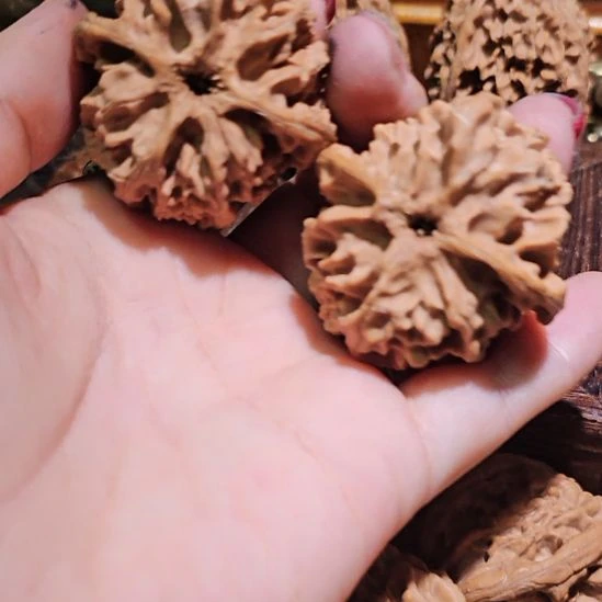 吊坠文玩核桃41苹果