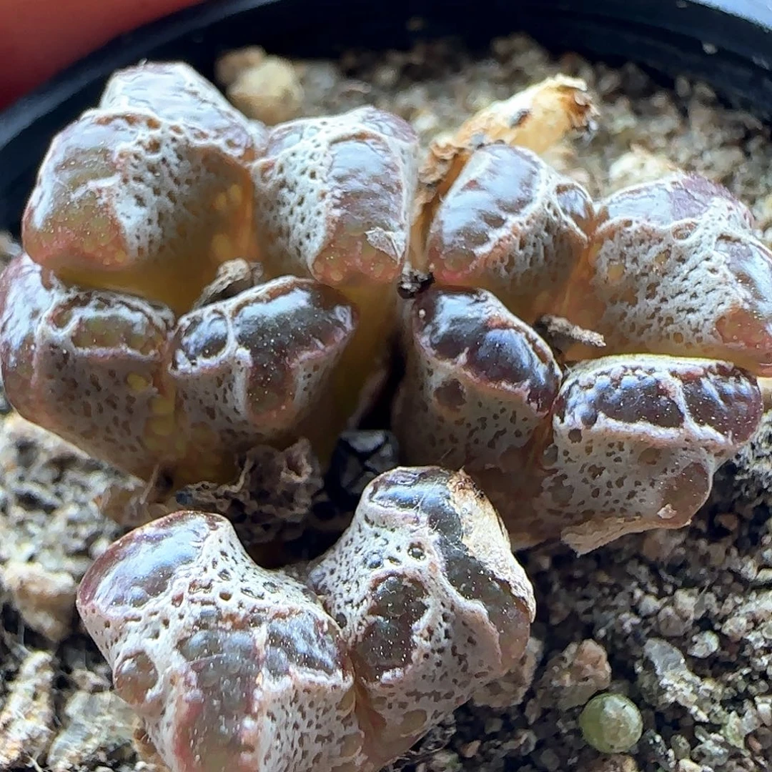 哈哈哈哈哈哈哈哈43601