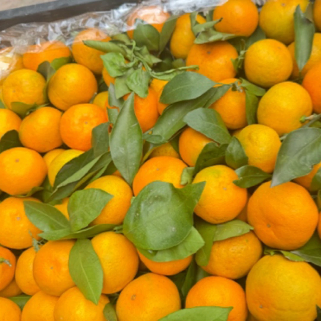 广西砂糖橘 皮薄汁水足 甜 一斤
