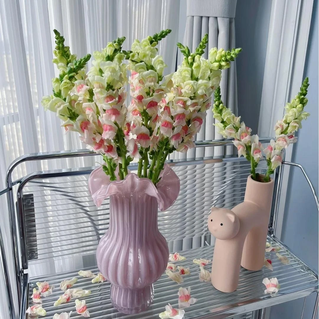 【AB级年宵花金鱼草】云南昆明斗南鲜花直发满2单顺丰京东包邮