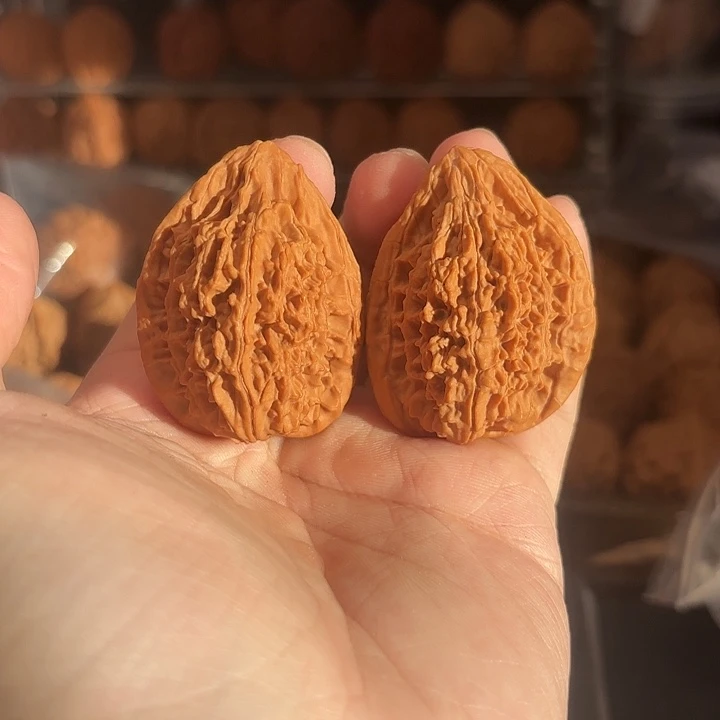 1文玩核桃鸭嘴兽36-525