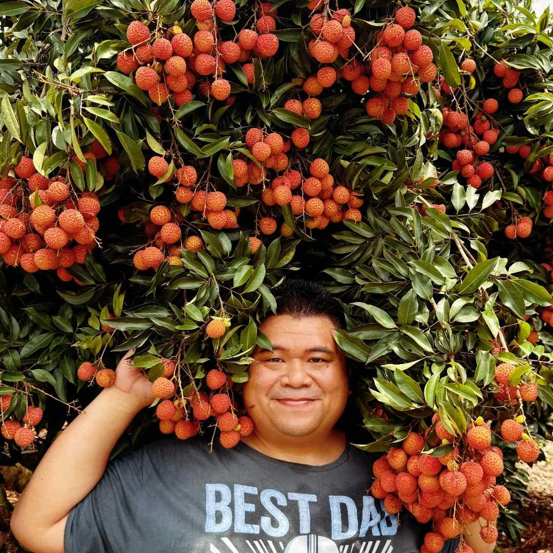 无所尉桂味荔枝氮气保鲜5斤装