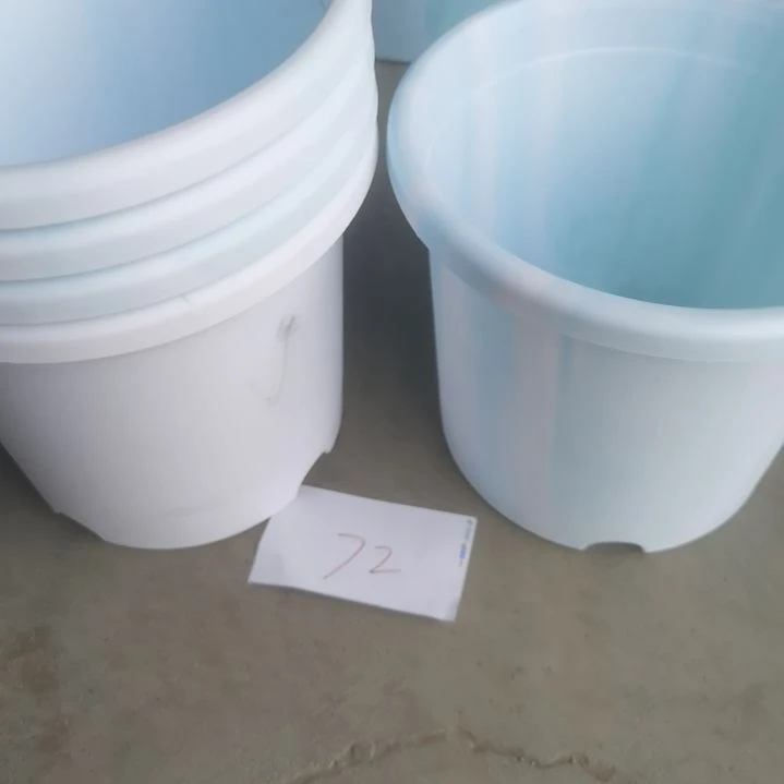 编号是72号的72号的