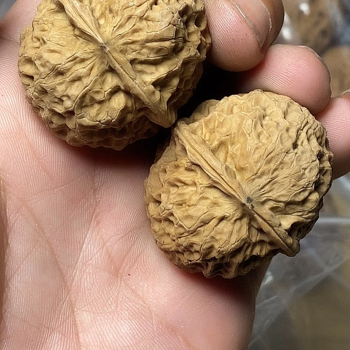 把件文玩核桃云南铁核桃73