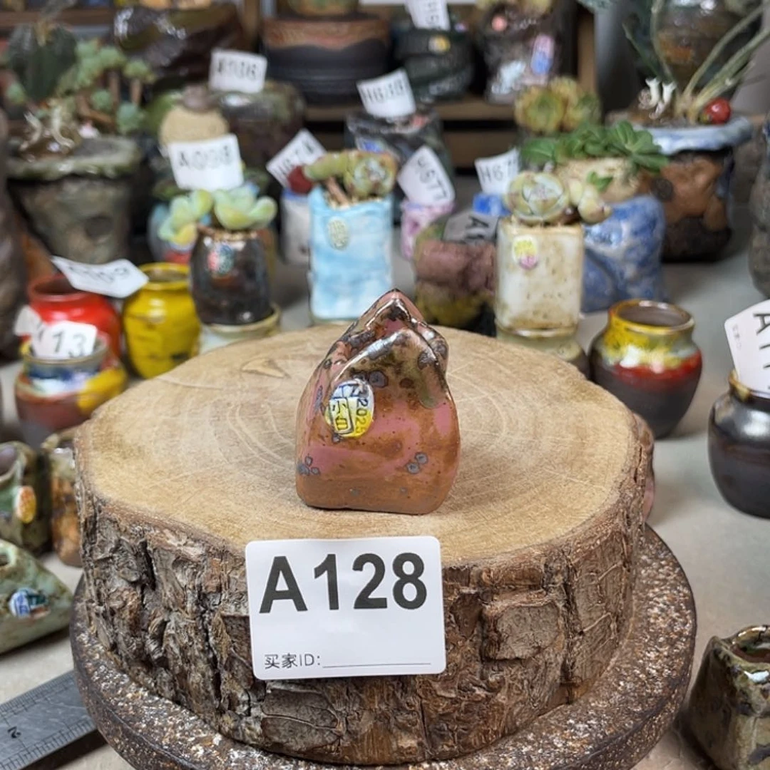 小白孤品 拇指 不含肉 内口2