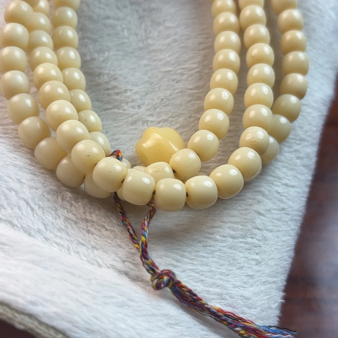 骆驼牙手串/手链骆驼牙