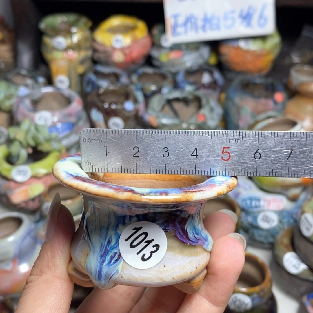 拍5送一个小礼物