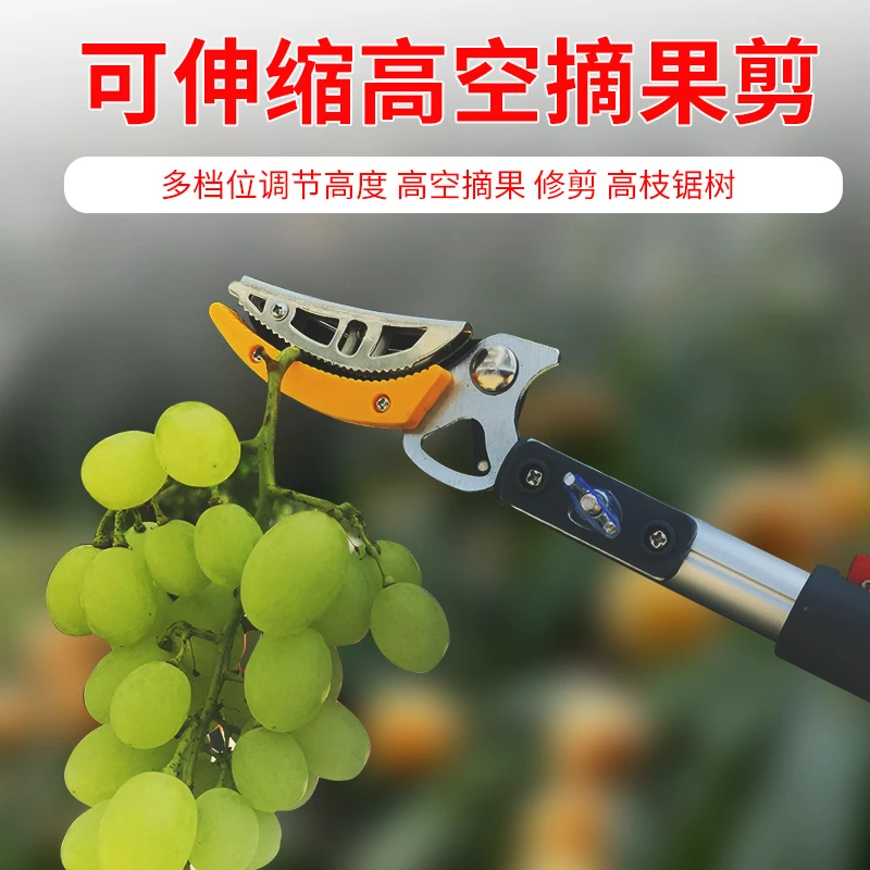 高空摘果神器多功能伸缩高枝摘果剪杆采摘枇杷荔枝龙眼黄皮杨梅