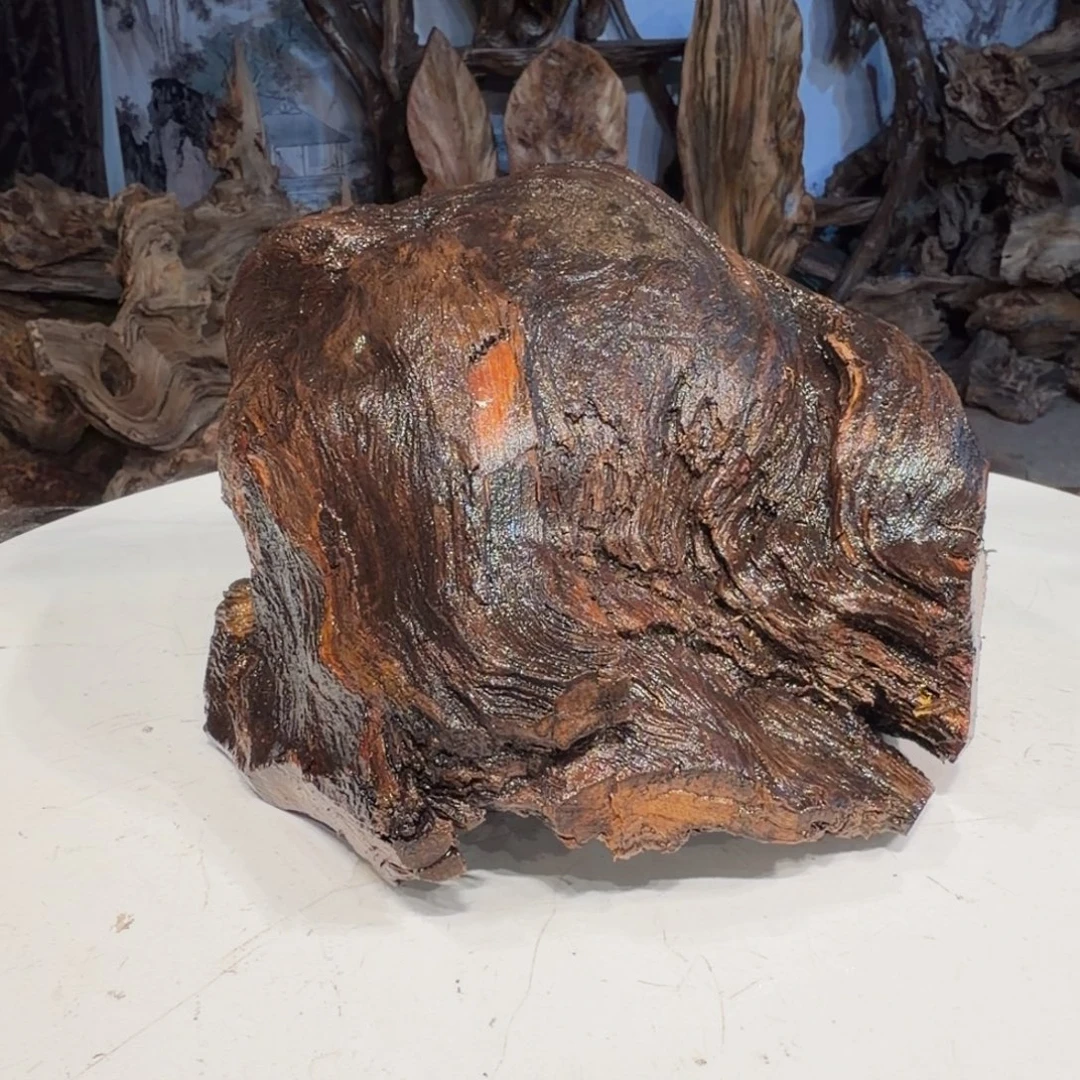 想***飞木三丰琥珀木 天然摆件3