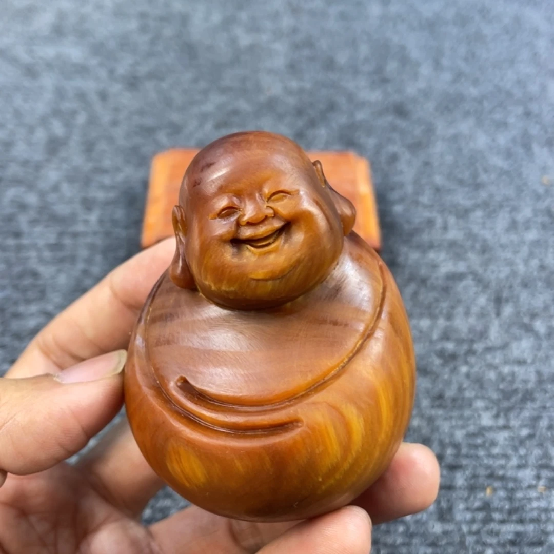 柏木（崖柏）太行崖柏