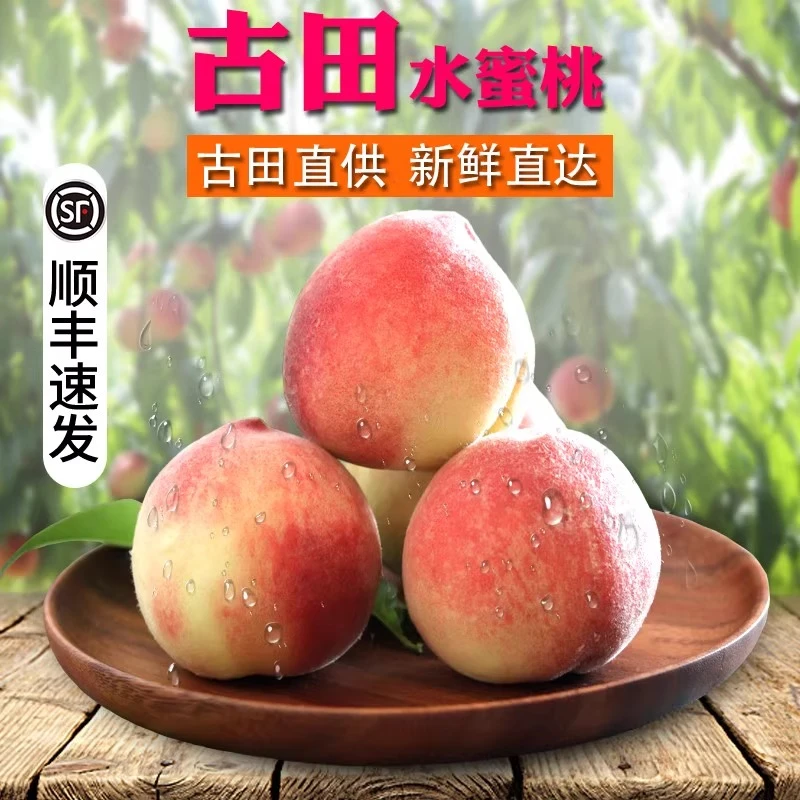 正宗古田白凤水蜜桃新鲜水果孕妇当季现摘9斤礼盒装甜脆桃子顺丰