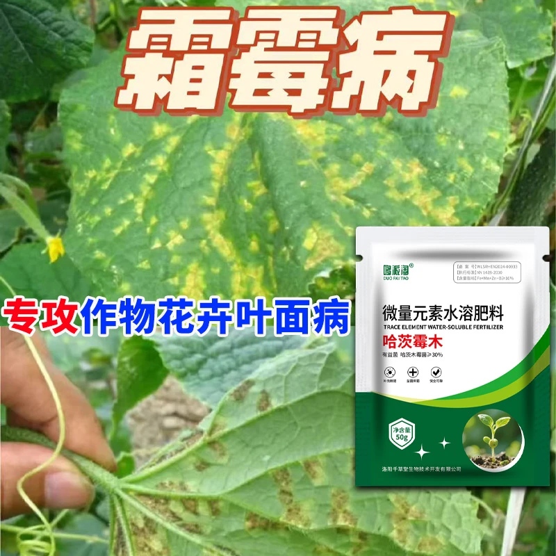 霜霉病专用菌立清肥料细菌真菌病菌清微量元素水溶肥抗病抑菌促产