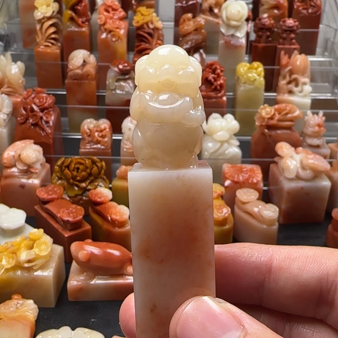 老挝石猪猪  2×7.2