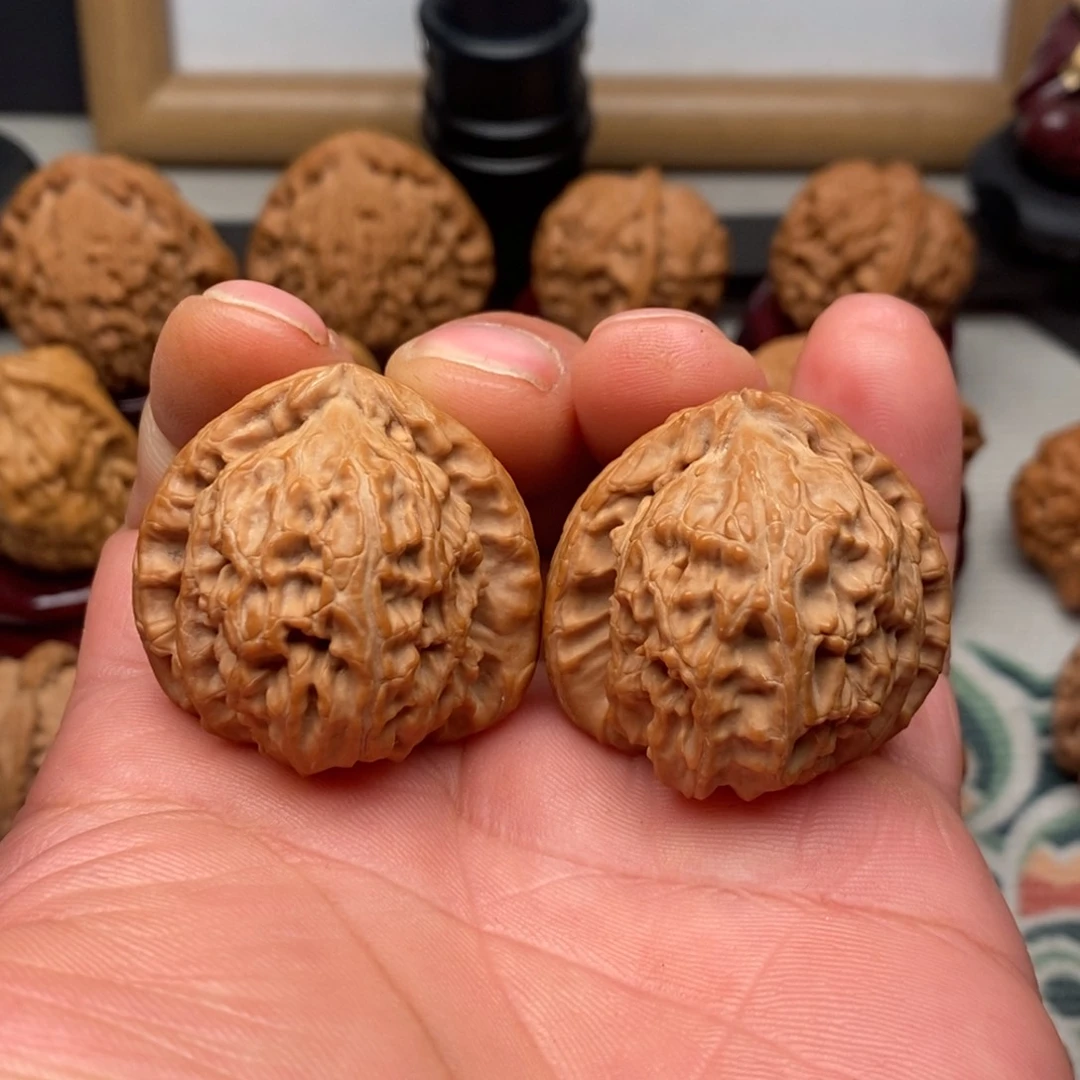 文玩核桃把件明*37尺白狮子