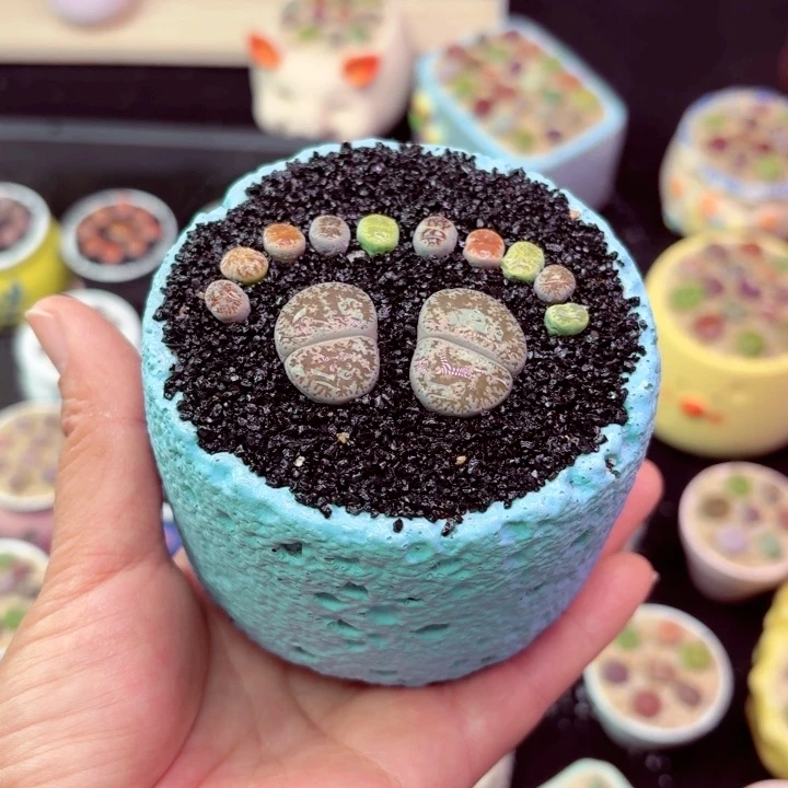 3001凑满18包邮零下地区记得拍保温箱