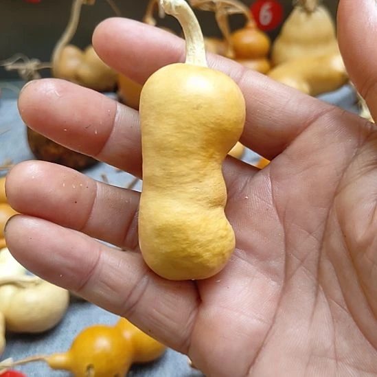 葫芦娃娃娃娃娃娃娃娃娃娃娃娃娃娃娃娃