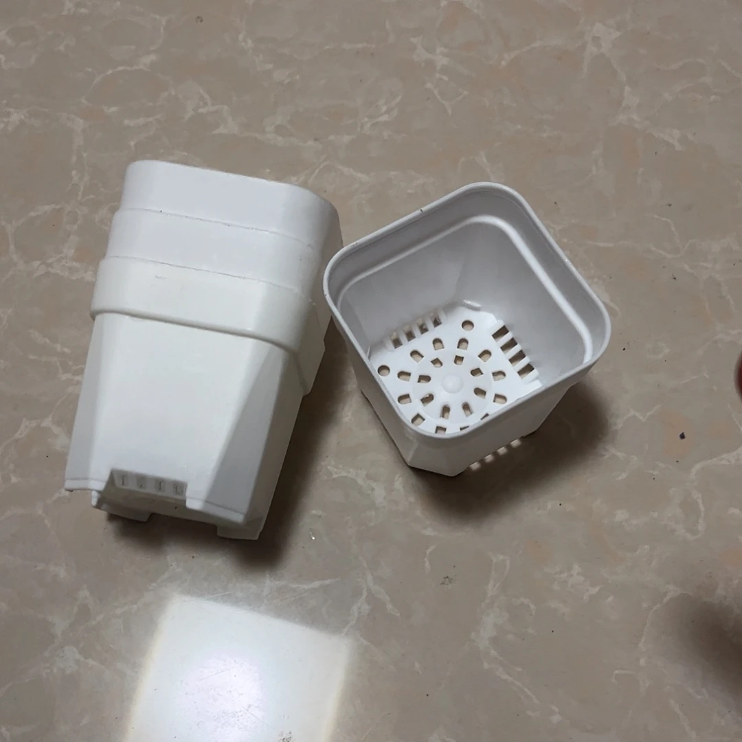 中厚口6高6白盆50个无托