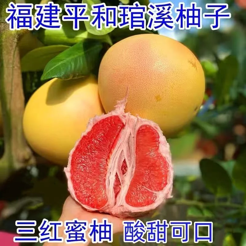 【福建】正宗平和琯溪三红蜜柚4.5/8.5斤装酸甜多汁产地直发 D3