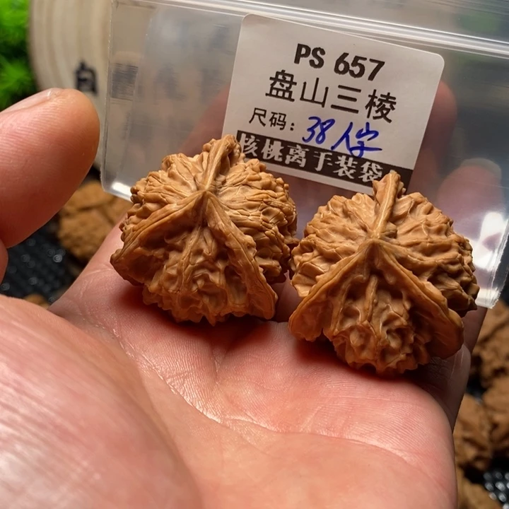 文玩核桃吊坠一****顿Ps657盘山38人字