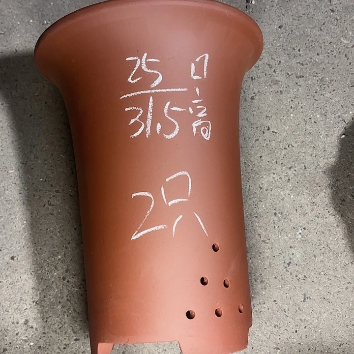 周深周深周深周深