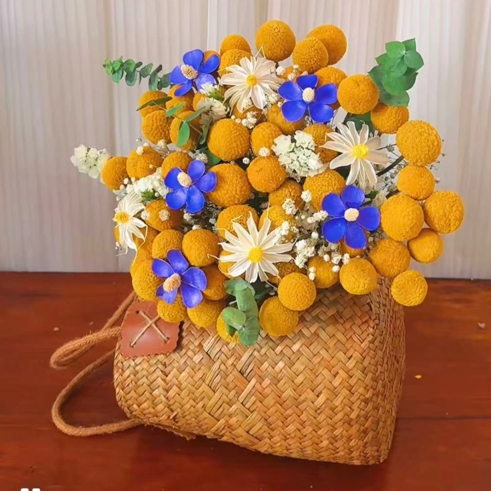 黄金球干花花束田园风格真花彩色麦杆菊太阳花油画风室内装饰摆件