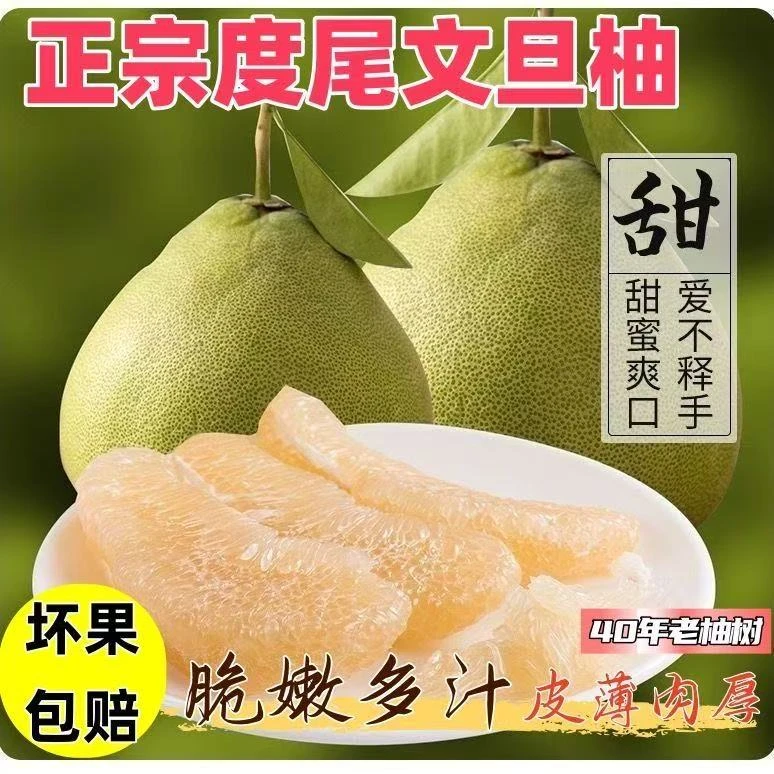 福建仙游正宗度尾文旦柚子水果孕妇薄皮多汁肉厚当季现摘新鲜