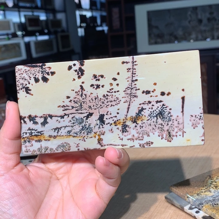 。广西国画石摆件，收藏观赏