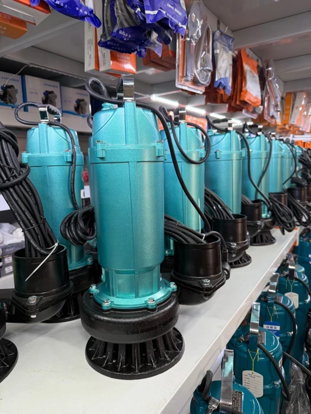 4寸220V水泵带线10米