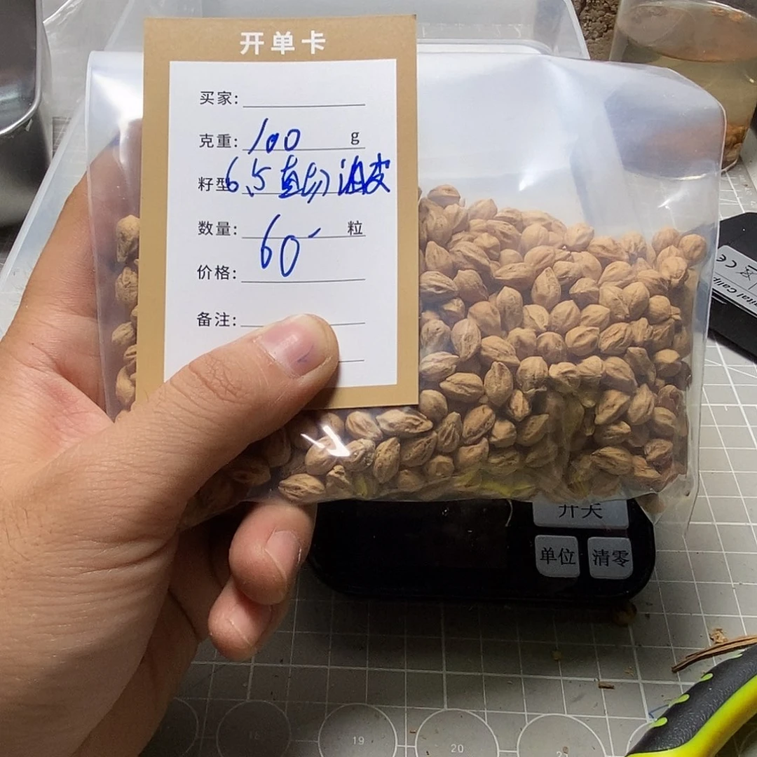 柏香籽/百香籽吊坠安*