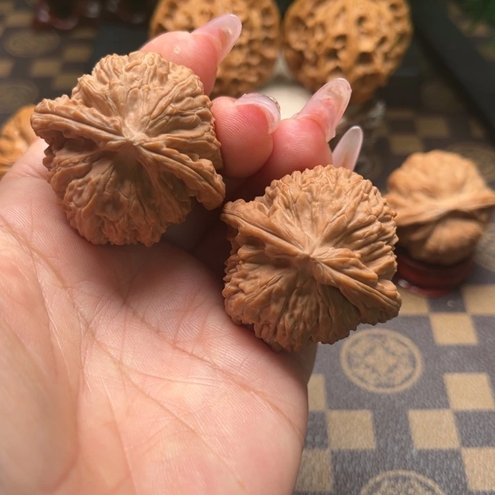 核桃41白狮子文玩