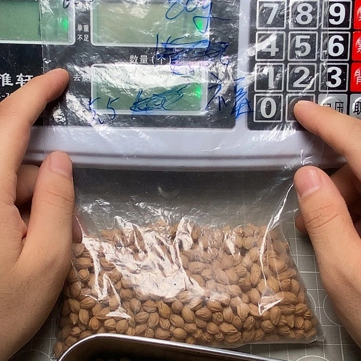 墨***鲨柏香籽/百香籽吊坠