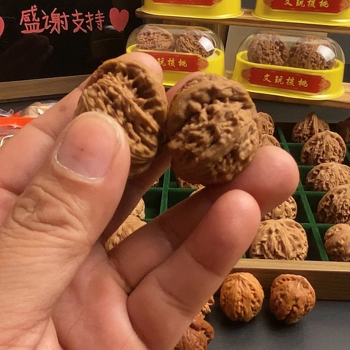 核桃小白狮子求半壁