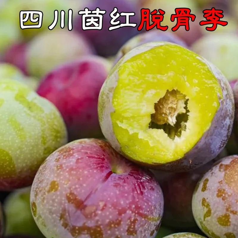 【坏果包赔】XX正宗四川脱骨李子半边红茵红李新鲜孕妇水果5斤