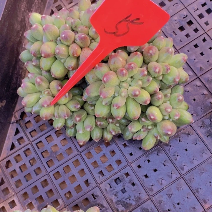 这么久不回来也没什么