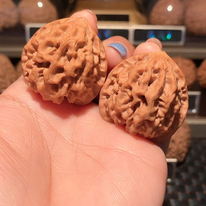 文玩核桃把件玄月36全家福