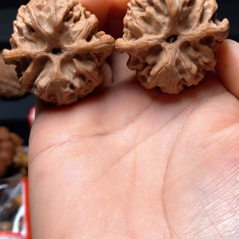 文玩核桃全品苹果园尺39