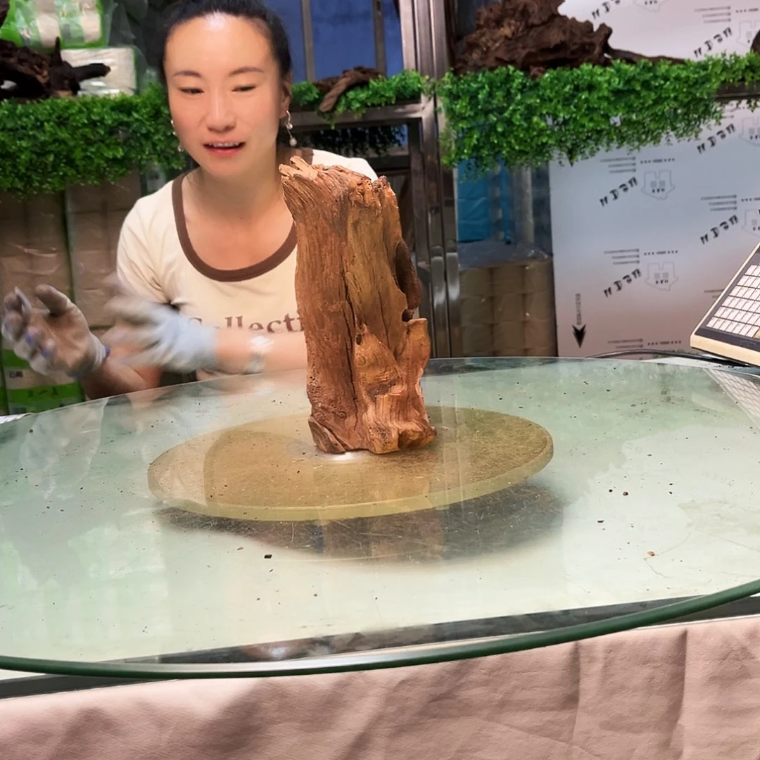 玉***艺柚木沉木鱼缸造景