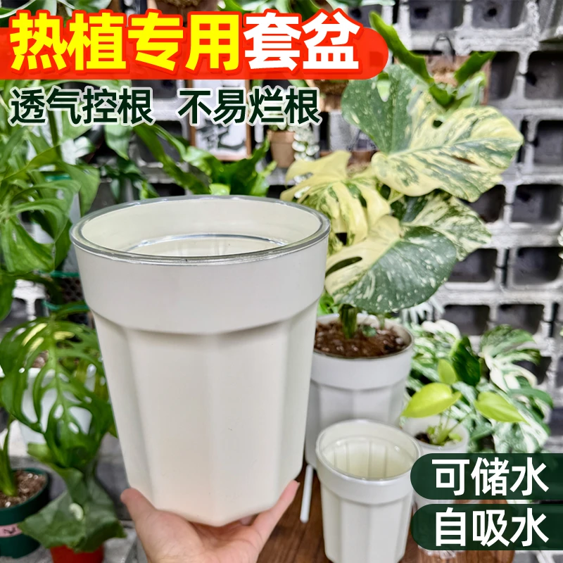 热植专用花盆花烛龟背竹自吸水家用透明控根植物活性透气套盆爆根