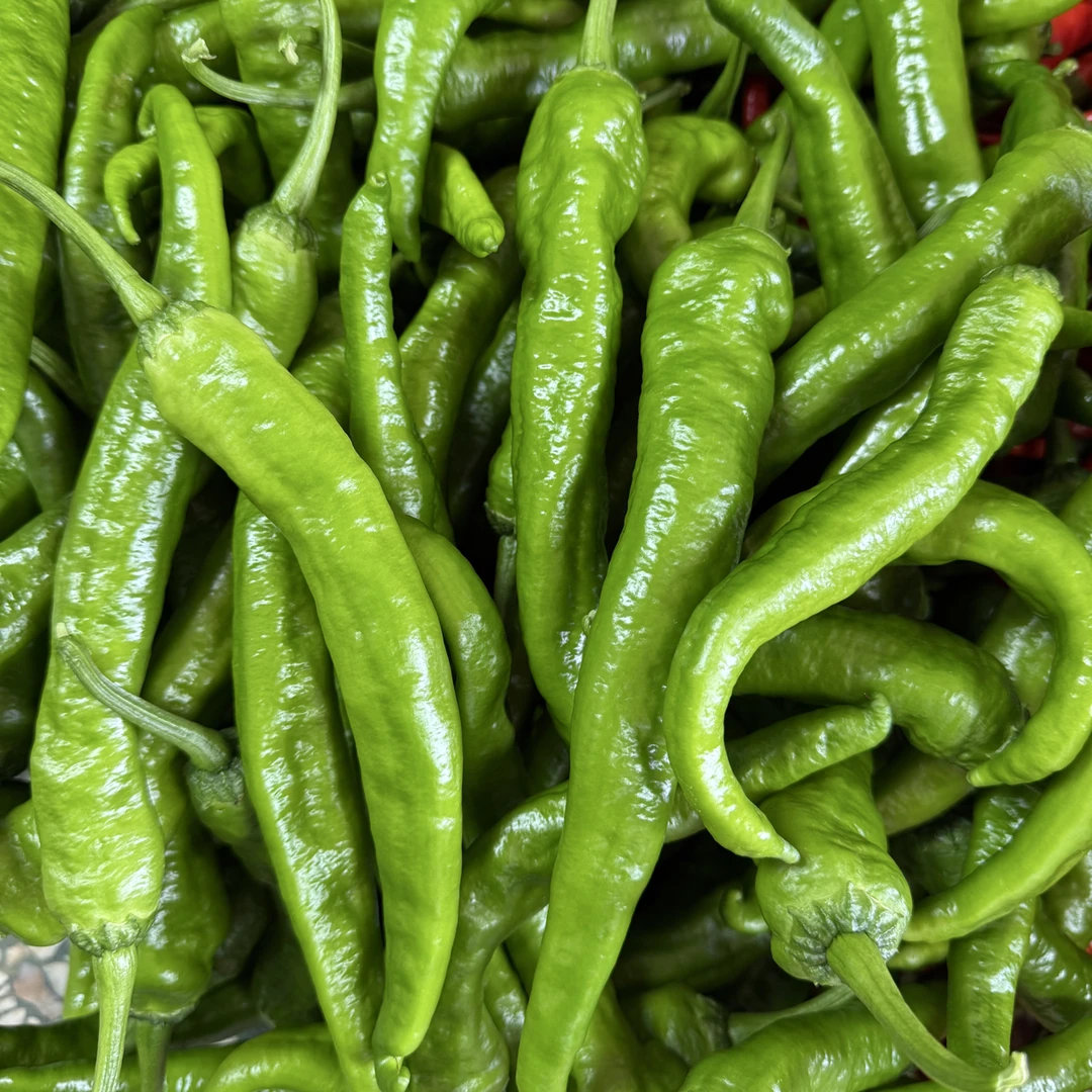 微辣 湖南新鲜青椒皮薄软香肉厚香 顺丰包邮