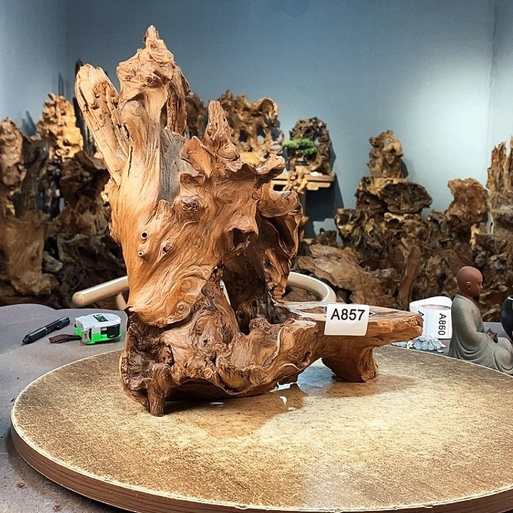 茶盏努****爽857。红杉根随行根艺