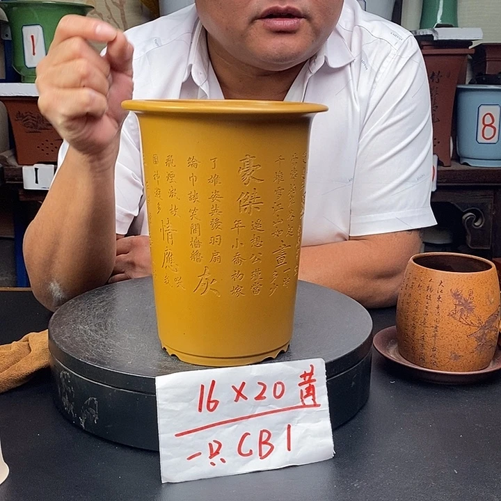 花盆紫砂货号一只CB1