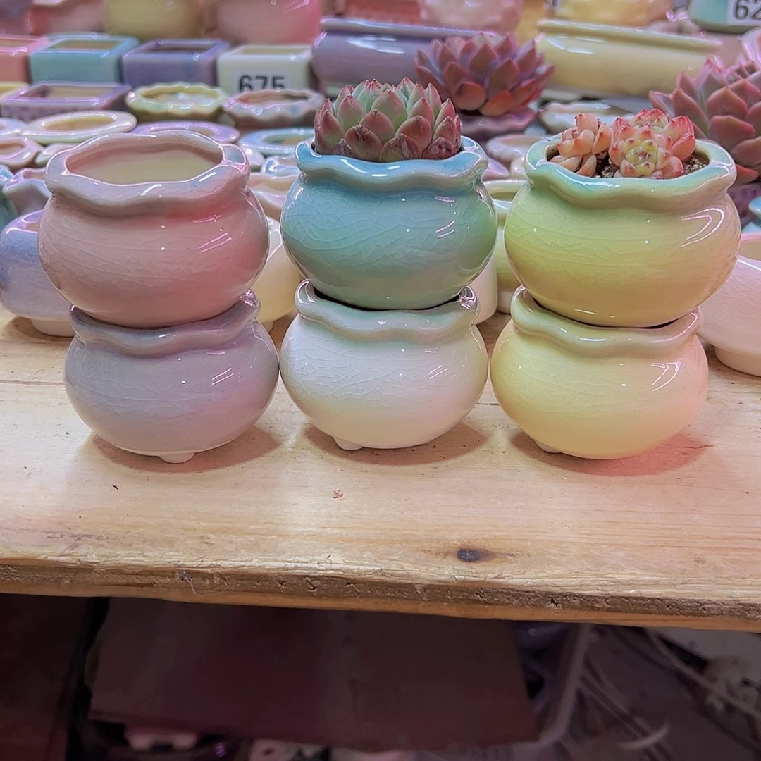 陶瓷花盆当场凑满12包邮