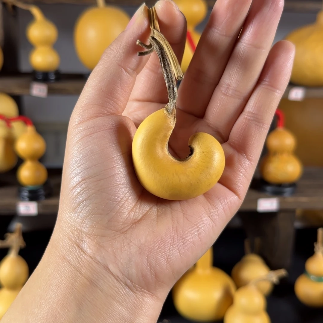 葫*王葫芦葫芦葫芦葫芦葫芦葫芦