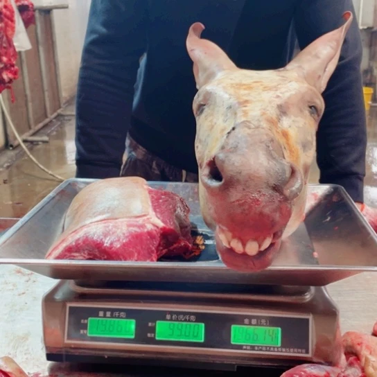 【闪购商品】冷冻保存30天包装河北省金***窗