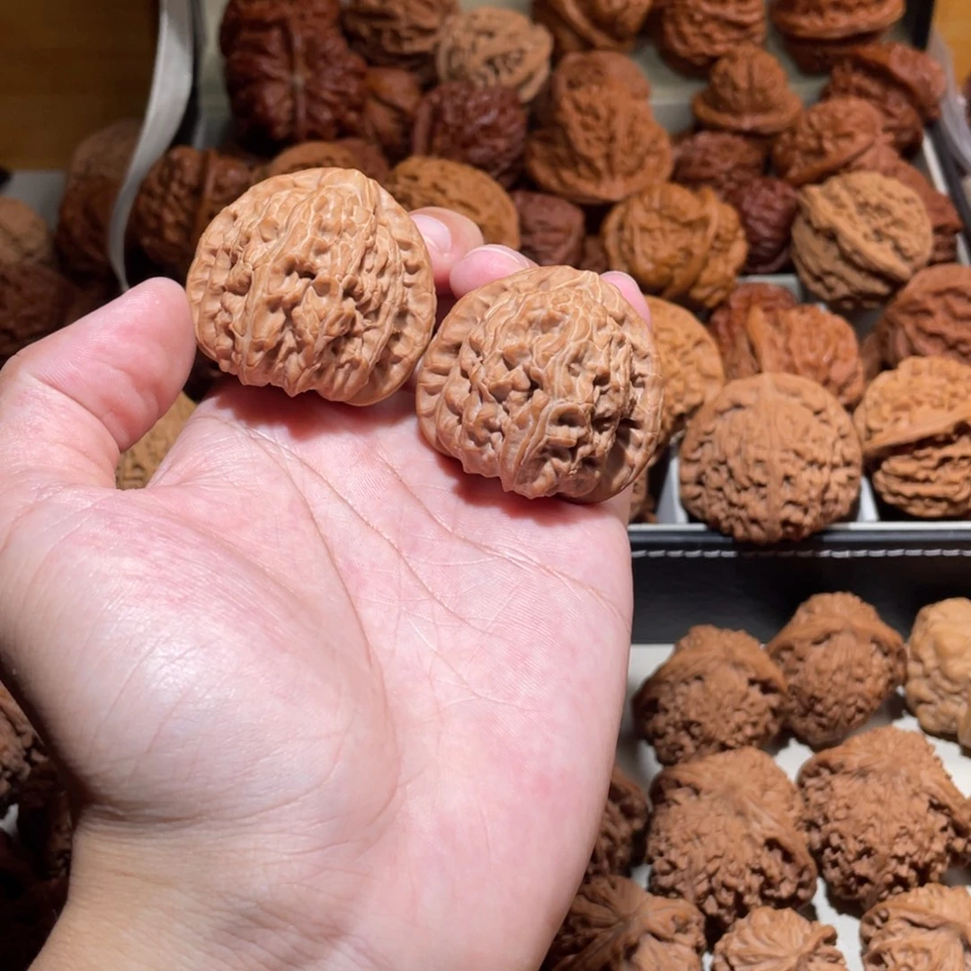 少***瘦42全品无修三角白狮子