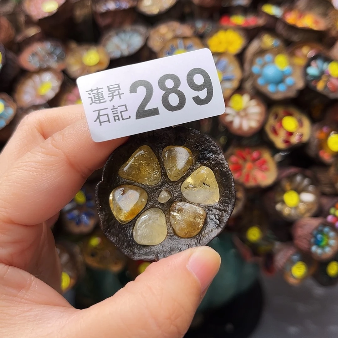 W***L核桃木/黑胡桃（胡桃木）289