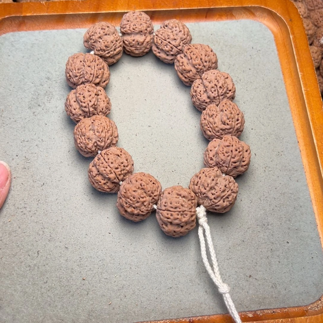 菩提21号金刚菩提龙骨梅花24