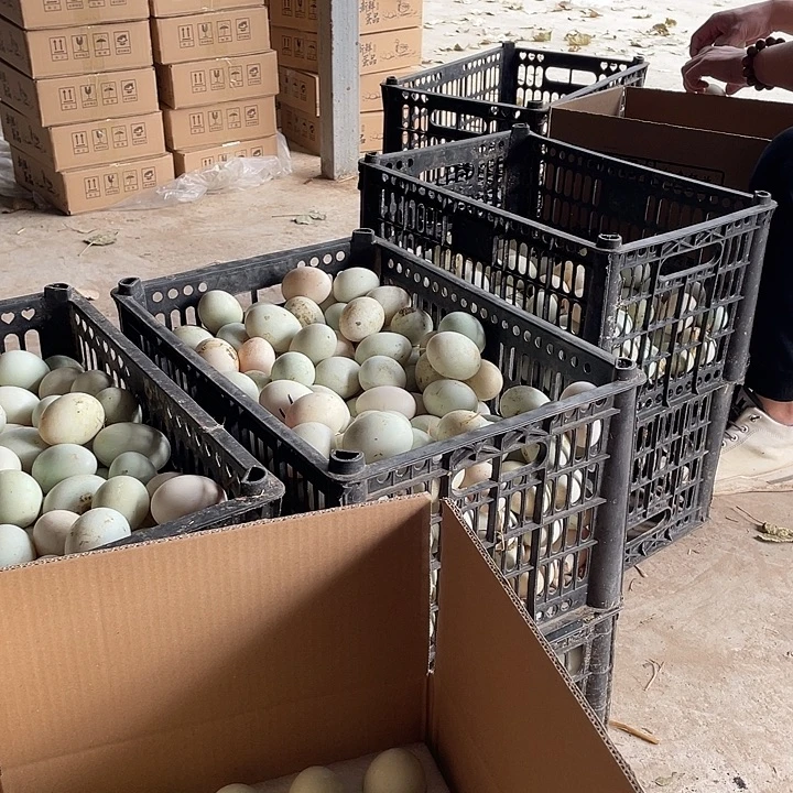 东***成包装中国大陆30g鸭蛋